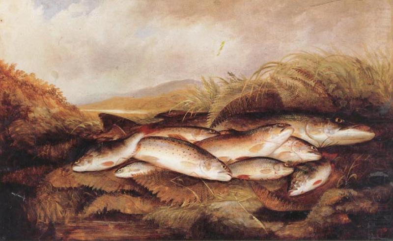 The Day's Catch, Henry Leonidas Rolfe